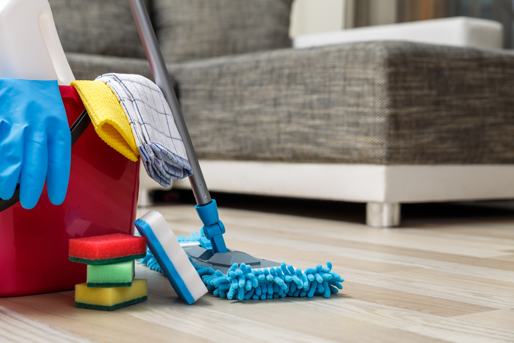 Cleaning caddy in house